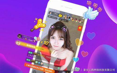 娇爷直播爆料视频下载网站,热门内容一键获取  第1张