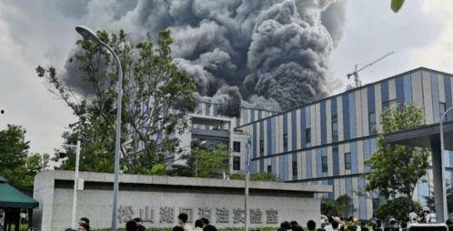 东莞国贸爆料最新消息今天,今日热点事件深度解析！”  第2张